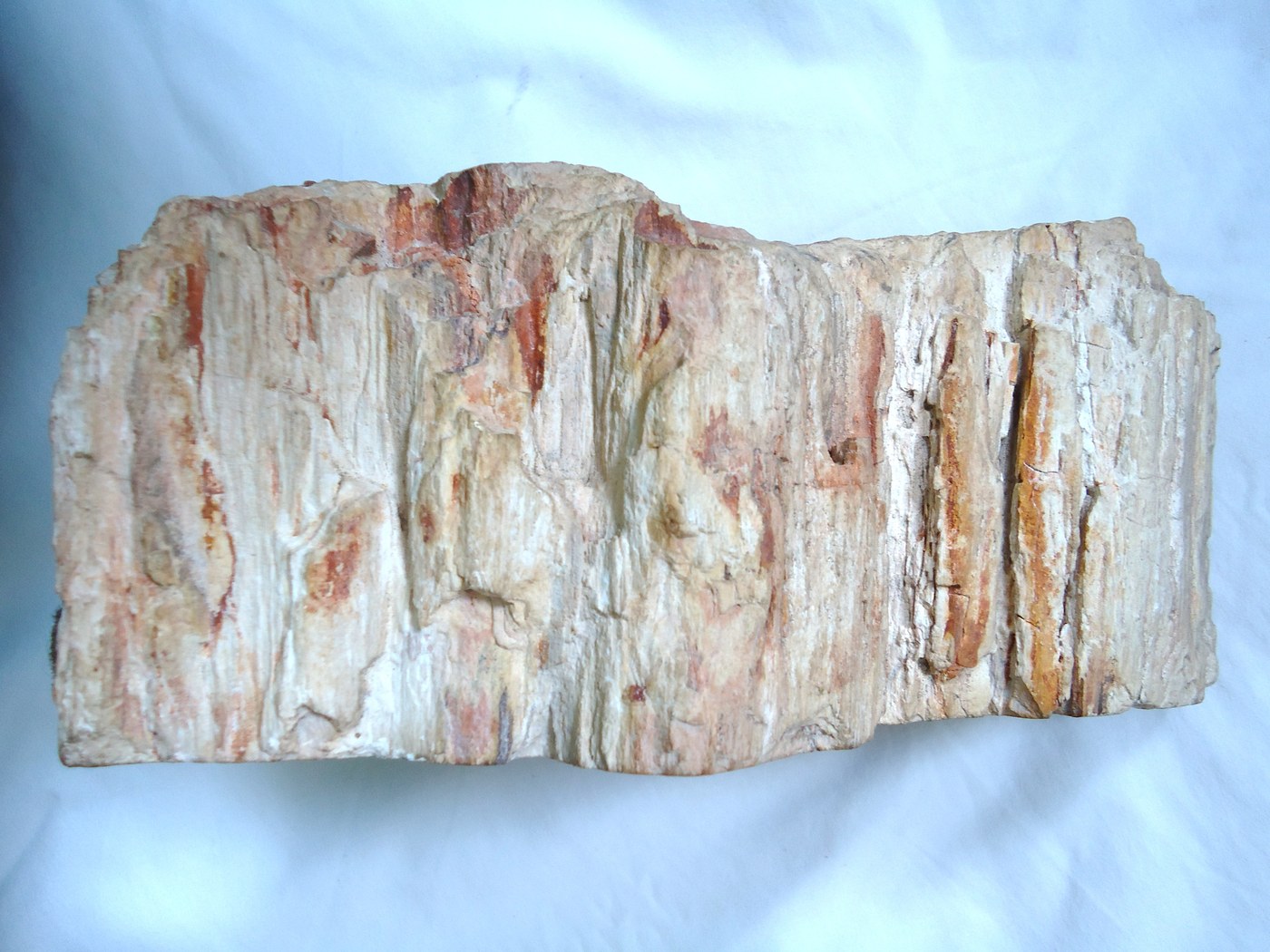 Madera petrificada